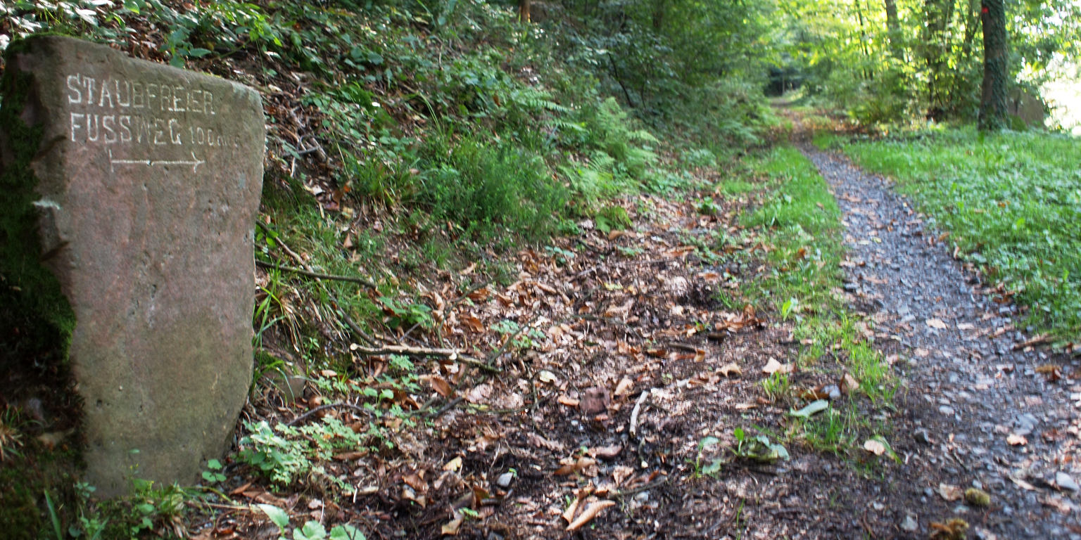 Bild: Rhein Neckar Wiki